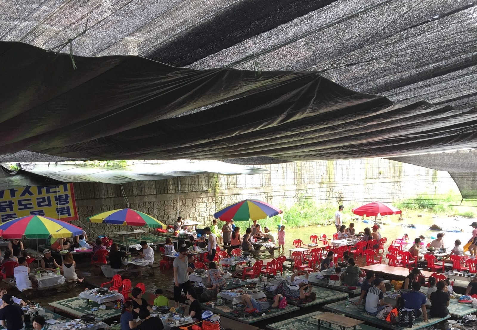 Summer in Korea: What It’s Really Like and How Locals Beat the Heat