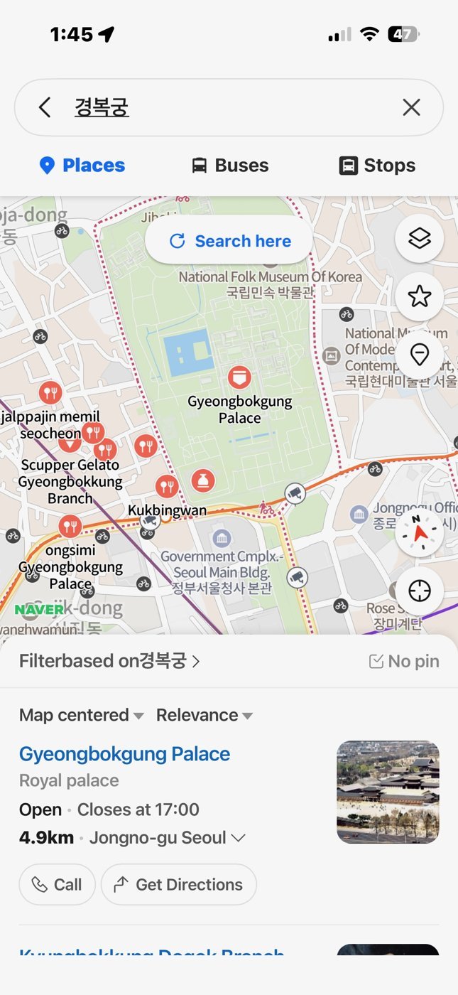Searching a place in Korean on Naver Map pins it instantly